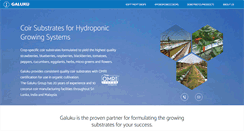Desktop Screenshot of galuku.com